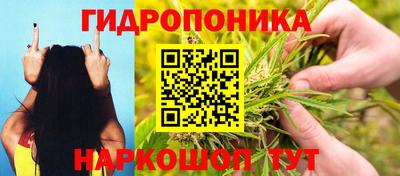 крисы Усть-Джегута