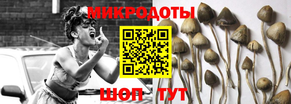 Галлюциногенные грибы Psilocybine cubensis  Вход с VPN  наркота  Нефтеюганск 